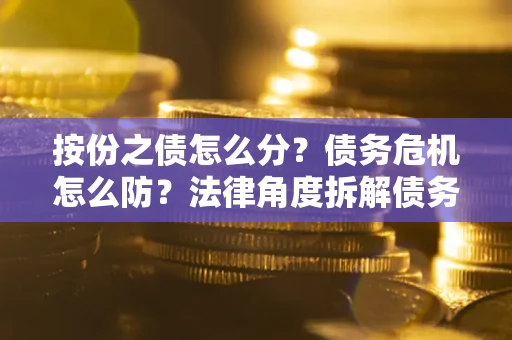 武汉按份之债怎么分？债务危机怎么防？法律角度拆解债务分配与风险自保指南