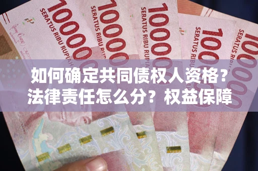 武汉如何确定共同债权人资格？法律责任怎么分？权益保障技巧揭秘！