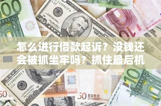 武汉怎么进行借款起诉？没钱还会被抓坐牢吗？抓住最后机会！