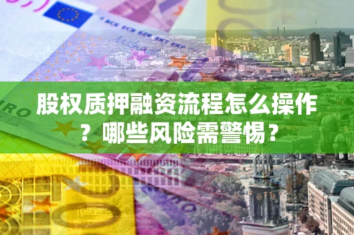 武汉股权质押融资流程怎么操作？哪些风险需警惕？