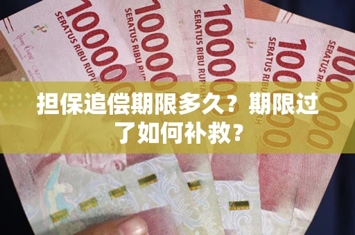 武汉担保追偿期限多久？期限过了如何补救？