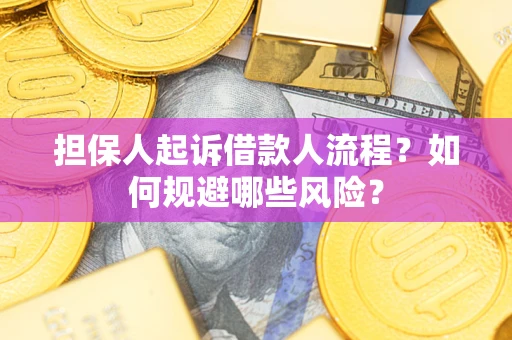 武汉担保人起诉借款人流程？如何规避哪些风险？