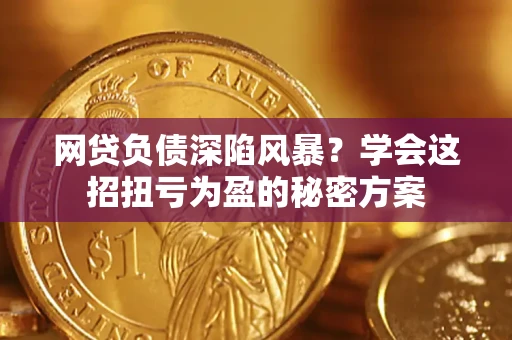 武汉网贷负债深陷风暴？学会这招扭亏为盈的秘密方案